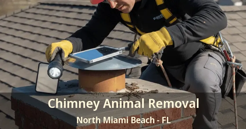 Chimney Animal Removal North Miami Beach - FL