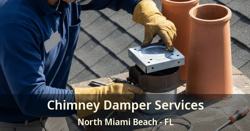 Chimney Damper Services North Miami Beach - FL