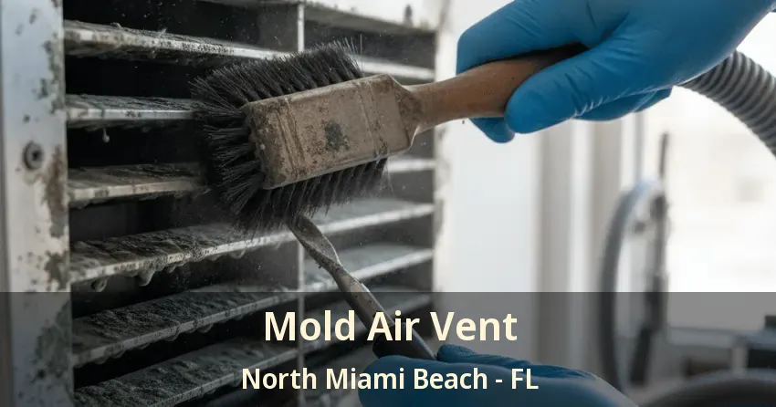 Mold Air Vent North Miami Beach - FL Mold Air Vent North Miami Beach - FL