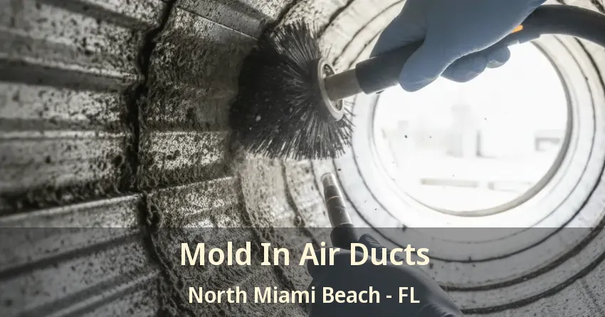 Mold In Air Ducts North Miami Beach - FL