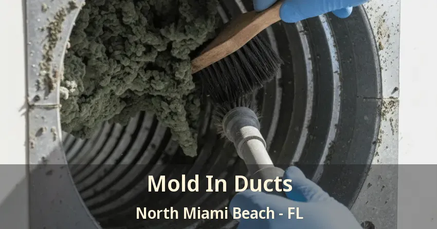 Mold In Ducts North Miami Beach - FL Mold In Ducts North Miami Beach - FL
