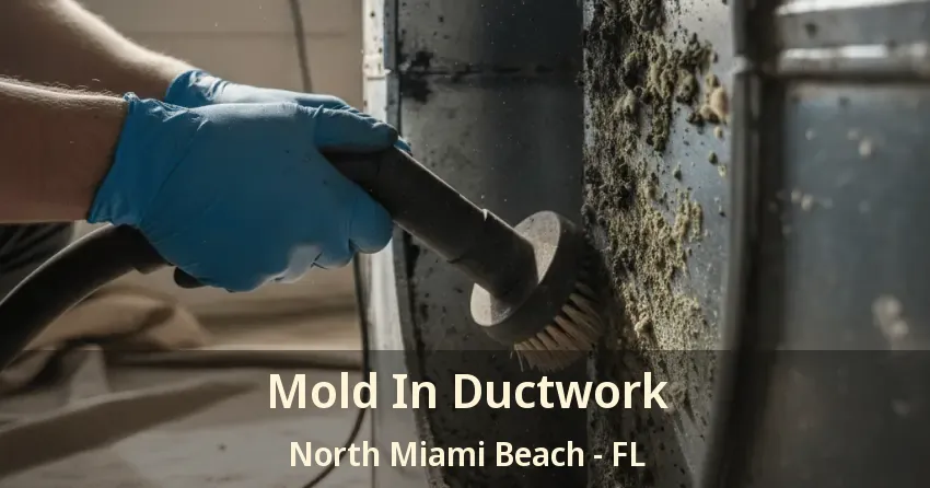 Mold In Ductwork North Miami Beach - FL