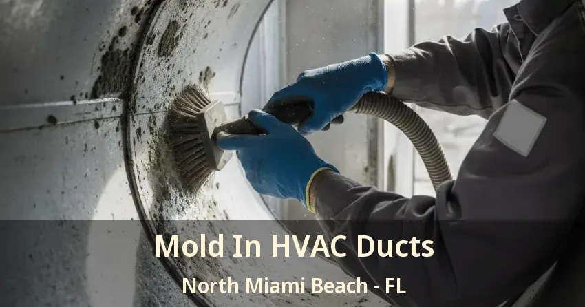 Mold In HVAC Ducts North Miami Beach - FL