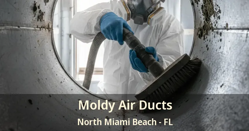 Moldy Air Ducts North Miami Beach - FL